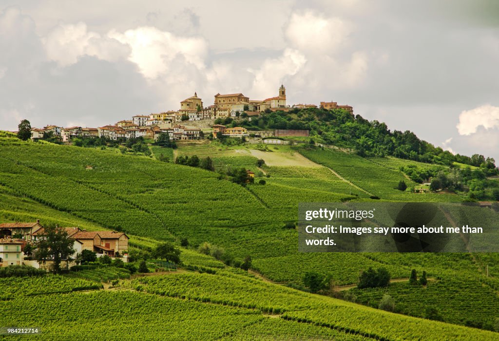 A medieval town set on top of a hill surrounded by vines on all sides.