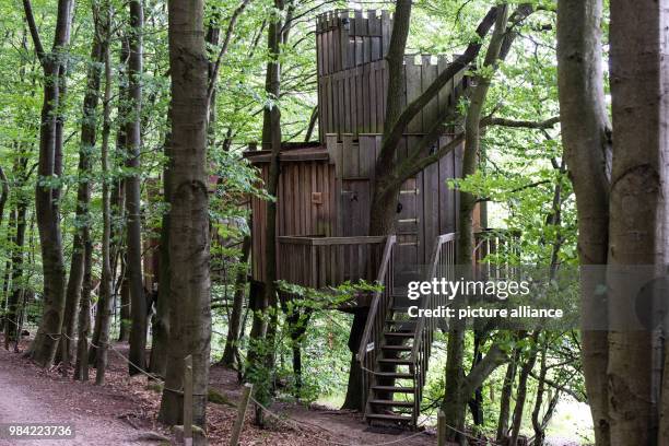 June 2018, Uslar, Germany: A tree house named "Burg" can be seen in the adventure forest Solling. Photo: Swen Pförtner/dpa