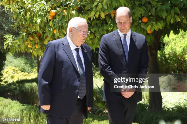 Prince William, Duke of Cambridge attends an audience with Israeli President Reuven Rivlin during his official tour of Jordan, Israel and the...