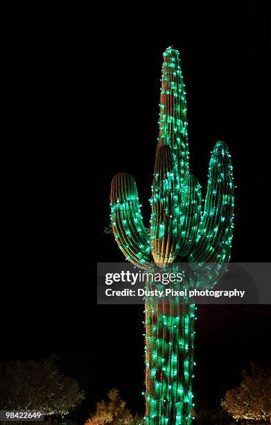 christmas saguaro cactus in lights - christmas cactus fotografías e imágenes de stock