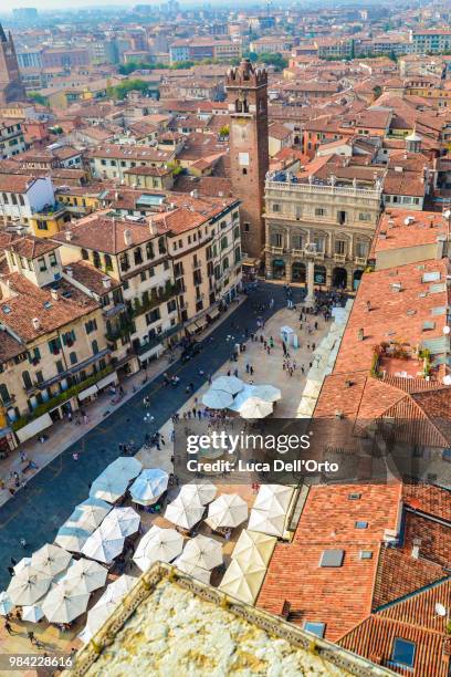 erbe square - orto stock pictures, royalty-free photos & images