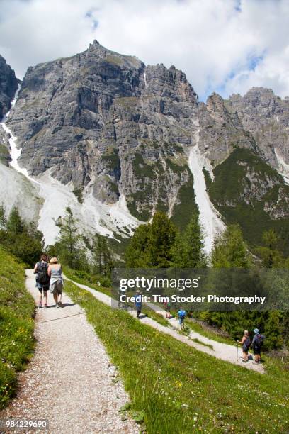 alpine view of hikers in schlick in the stubai valley in austria - stubaital stock pictures, royalty-free photos & images