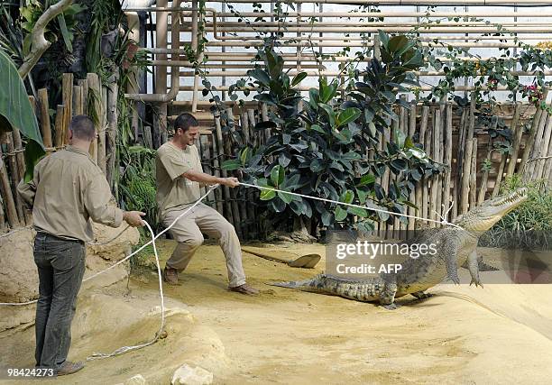 Catch Up Lab 340 Nile University Stock Photos, High-Res Pictures, and Images - Getty ...