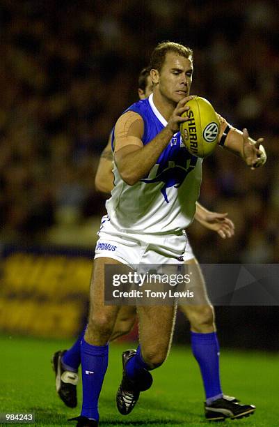 Wayne Carey for the Kangaroos in action in the round 5 match of the AFL between the Adelaide Crows and the Kangaroos played at Football Park in...