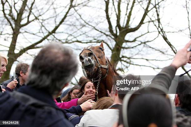 People celebrate the 30th birthday of Ourasi , a retired French champion racing trotter, on April 07, 2010 in Bayeux in the Normandy region. Ourasi,...