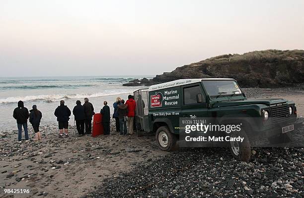 Members of the Animal Care Team from the National Seal Sanctuary watch the sea for seal pups they have just released on a beach near Hayle on April...