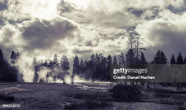 west yellowstone,usa - west yellowstone photos et images de collection