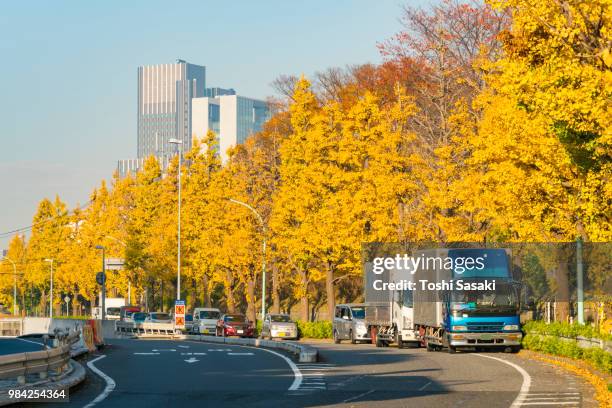 minami shinjuku and yoyogi districts high-rise buildings stand behind rows of autumn leaves ginkgo trees at yoyogihachiman shibuya tokyo japan on november 29 2017. cars run on the street along the rows of autumn leaves trees. - center of gravity 2017 stock pictures, royalty-free photos & images