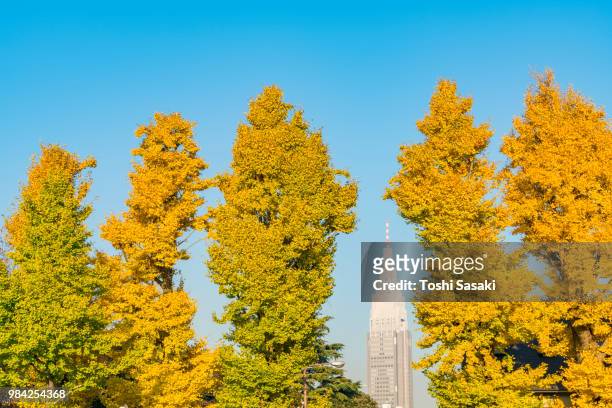 ntt docomo tower ( ntt yoyogi building) stands among the autumn leaves ginkgo trees under the clear blue sky from sangubashi shibuya tokyo japan on november 29 2017. - ntt docomo stockfoto's en -beelden