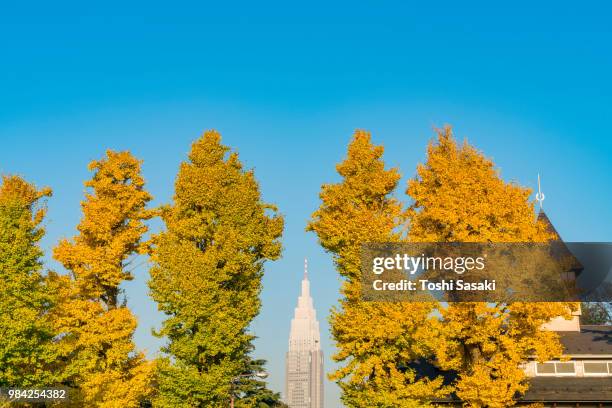 ntt docomo tower ( ntt yoyogi building) stands among the autumn leaves ginkgo trees under the clear blue sky from sangubashi shibuya tokyo japan on november 29 2017. tokyo riding club clubhouse can be seen at right. - ntt docomo stockfoto's en -beelden