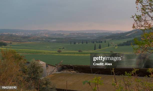 Batya Image Batya Photos and Premium High Res Pictures - Getty Images