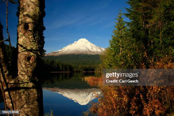 fall reflections at trillum lake - cari imagens e fotografias de stock