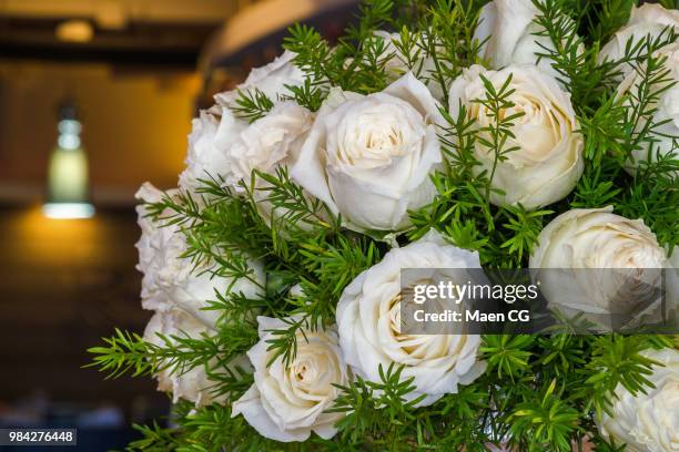 white rose with asparagus fern - asparagus fern stock pictures, royalty-free photos & images