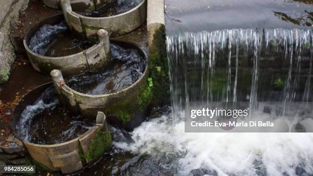 fischtreppe im fluss - fluss stockfoto's en -beelden