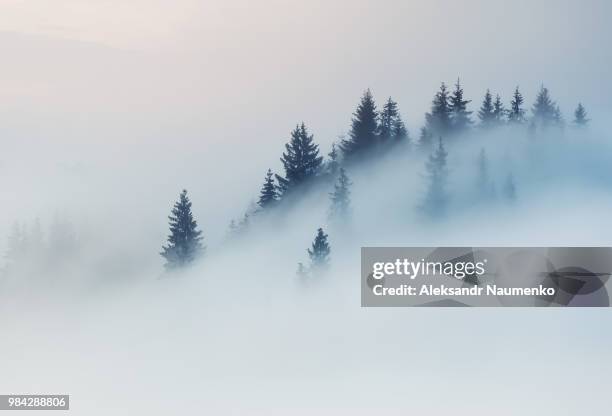 fog over a mountain in dzembronyz, ukraine. - thick fog stock pictures, royalty-free photos & images