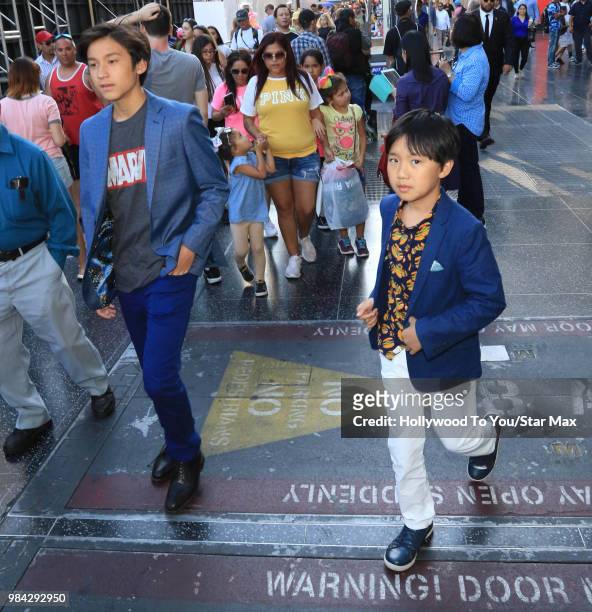Forrest Wheeler and Ian Chen are seen on June 25, 2018 in Los Angeles, California.