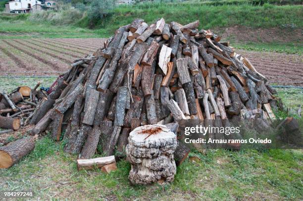 Logging Stock Image 1,498 Historic Logging Stock Photos, High-Res Pictures, and Images ...