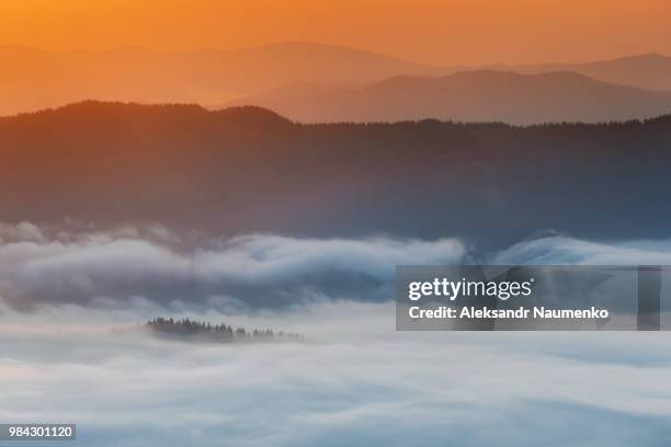 fog at sunset in dzembronya, ukraine. - western ukraine stock pictures, royalty-free photos & images