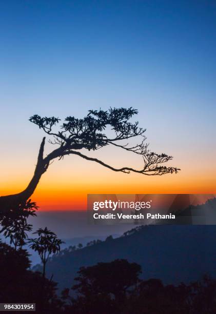 Pathaniya 7,148 Pathania Stock Photos, High-Res Pictures, and Images - Getty Images