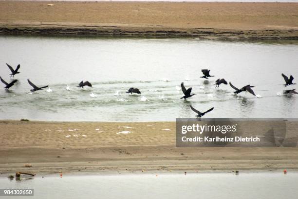Jangipur Photos and Premium High Res Pictures Getty Images