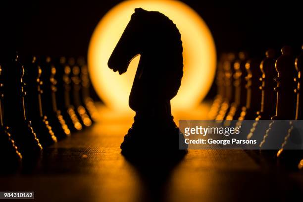 dark horse - chess horse fotografías e imágenes de stock