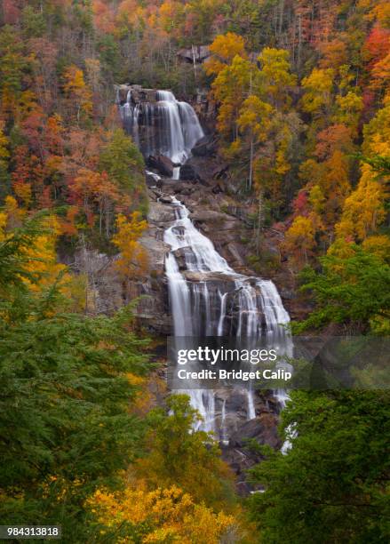 58 Whitewater Falls (North Carolina) Stock Photos, High-Res Pictures ...