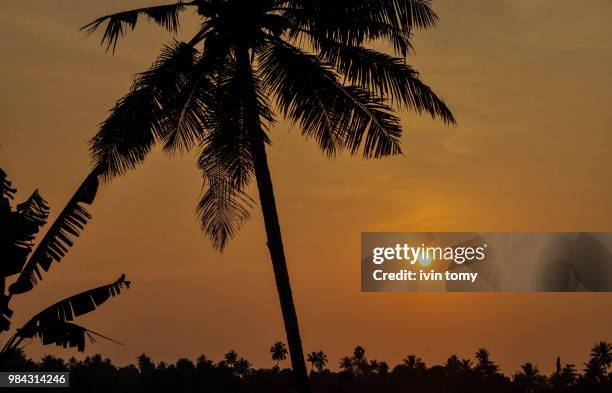 sunset silhouette - tomy stock pictures, royalty-free photos & images