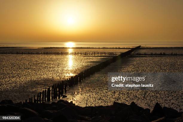 ebbe - lausitz stock-fotos und bilder