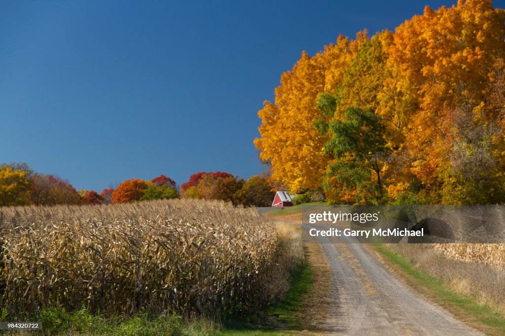 Minnesota autumn farm rd