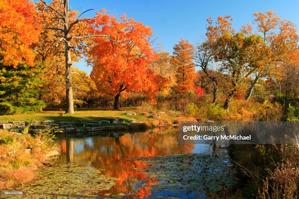 Forest Park ST Louis