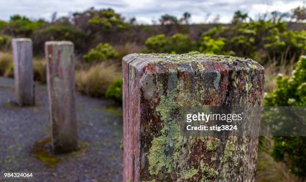moss on road posts - stig stock pictures, royalty-free photos & images