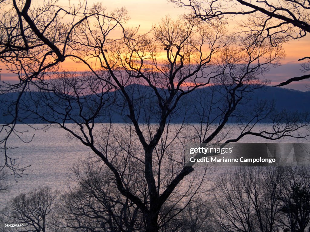 Sunset on the Hudson River silhouetted trees