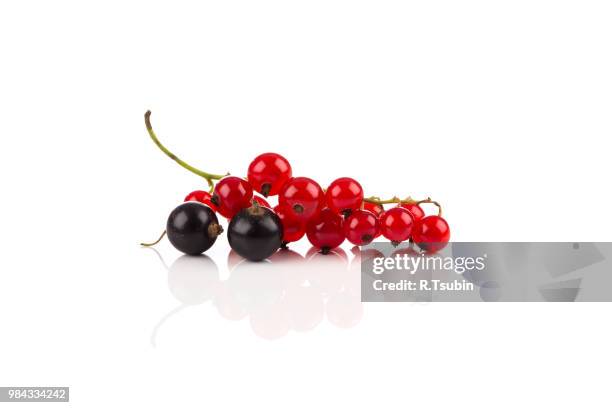 red currant, blackberry berries isolated on a white background - rode bes stockfoto's en -beelden