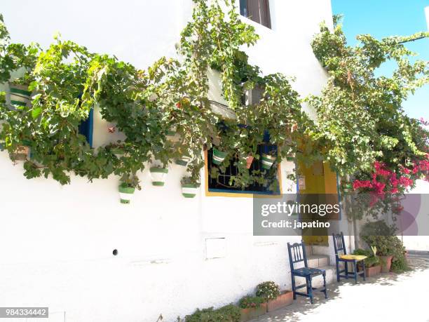 street of the tourist town of mojacar. almeria - flower pot island stock pictures, royalty-free photos & images