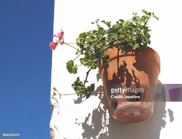 typical pots with flowers in the streets of the towns of andalucia - flower pot island stock pictures, royalty-free photos & images