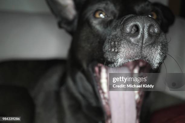 Yea Images 9,949 The Yeah Stock Photos, High-Res Pictures, and Images - Getty Images