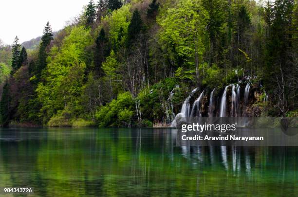 paradise rediscovered - plitvicka jezera, croatia - plitvicka jezera croatia stock-fotos und bilder