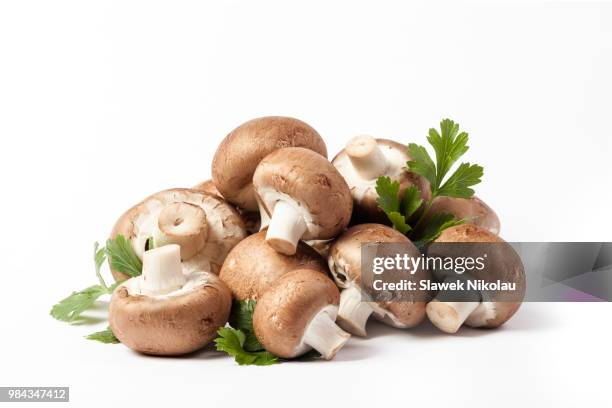 crimea mushrooms - edible mushroom stock-fotos und bilder