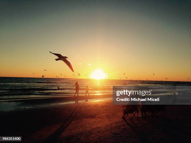 siesta key beach and a moment with an iphone - sea iphone stock-fotos und bilder