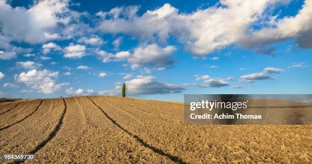 tuscan landscape, tuscany, italy, europe - achim thomae fotografías e imágenes de stock