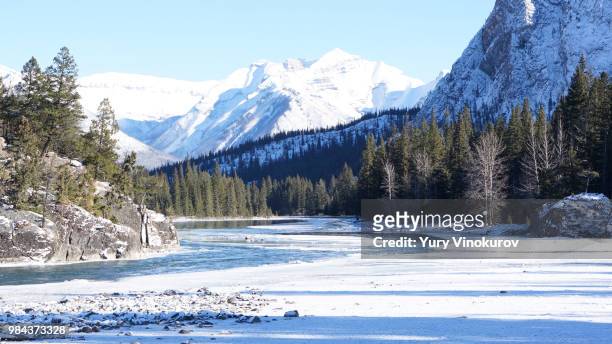 nature - columbia icefield stock pictures, royalty-free photos & images