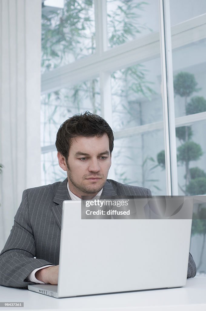 Portrait of businessman working with laptop computer