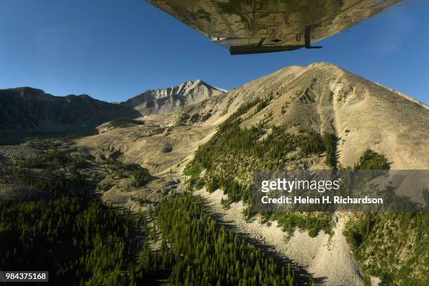 EcoFlight pilot Pilot Bruce Gordon gets up close and personal as he flies past Mount Sopris in the Maroon Bells-Snowmass Wilderness in White River...