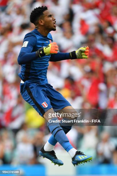 Pedro Gallese of Peru celebrates after Andre Carrillo of Peru scores their team's first goal during the 2018 FIFA World Cup Russia group C match...