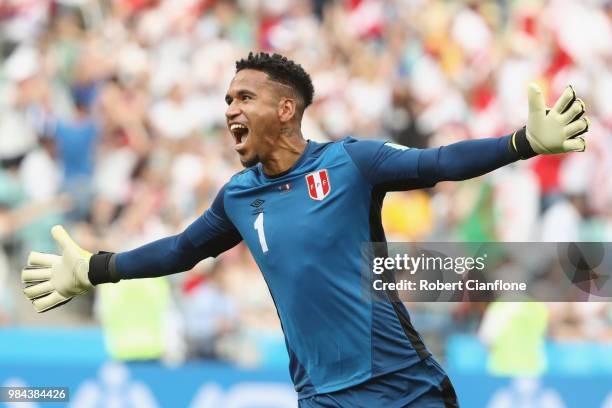 Pedro Gallese of Peru celebrates after Paolo Guerrero of Peru scores their team's second goal during the 2018 FIFA World Cup Russia group C match...
