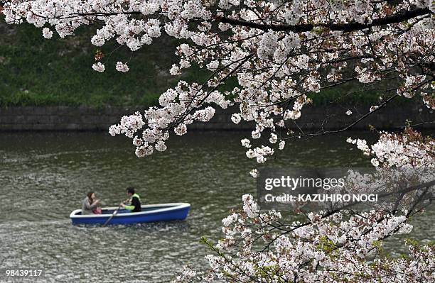 Couple rows their boat on a moat to admire the last stages of the full-bloom cherry blossoms in Tokyo on April 11, 2010. Japanese people all over the...