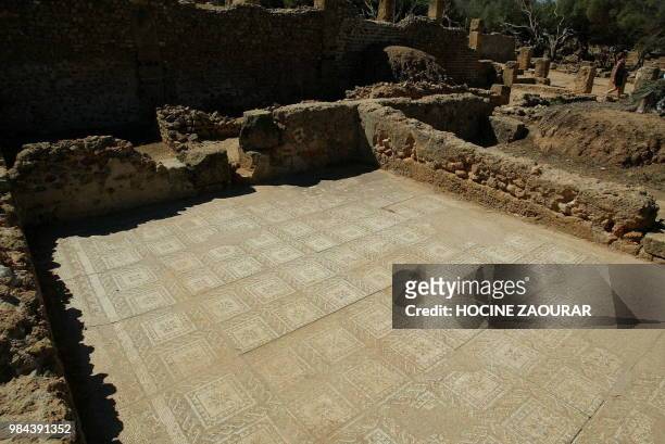 Ruins of a mosaic floor in a Roman villa are pictured 14 August 2002 at the historic site of Tipasa. On he Shores of the Mediterranean, Tipasa was an...