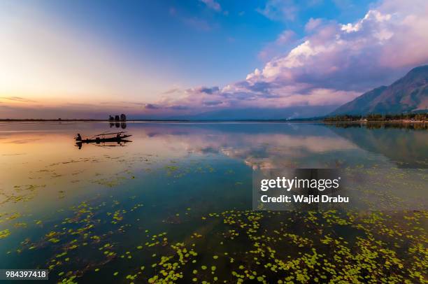 the sunset at dal lake in kashimr, india. - shikara stock-fotos und bilder