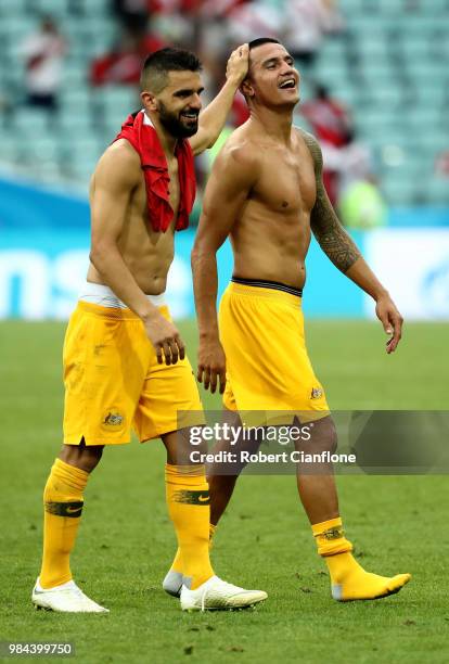 Aziz Behich of Australia speaks with Tim Cahill of Australia after the 2018 FIFA World Cup Russia group C match between Australia and Peru at Fisht...