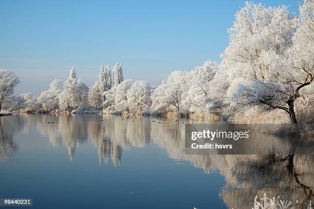 winter-landschaft in einem fluss - deutschland wald winter stock-fotos und bilder